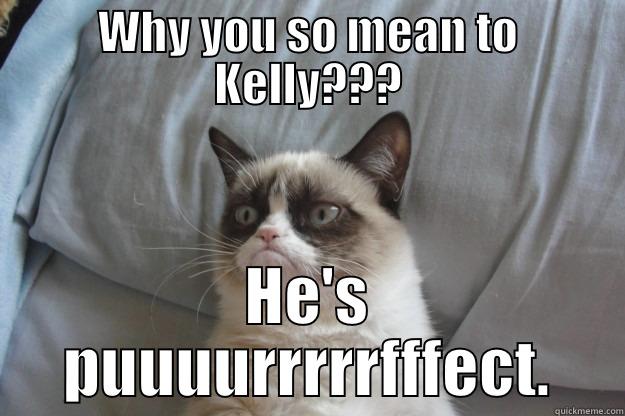 WHY YOU SO MEAN TO KELLY??? HE'S PUUUURRRRRFFFECT. Grumpy Cat