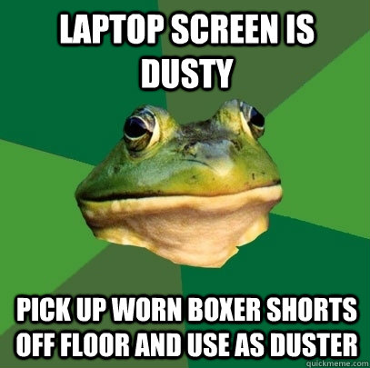 Laptop screen is dusty Pick up worn boxer shorts off floor and use as duster  Foul Bachelor Frog
