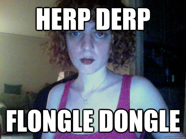 HERP DERP FLONGLE DONGLE - Misc - quickmeme