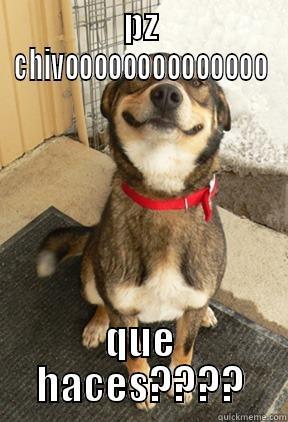 PZ CHIVOOOOOOOOOOOOOO QUE HACES???? Good Dog Greg