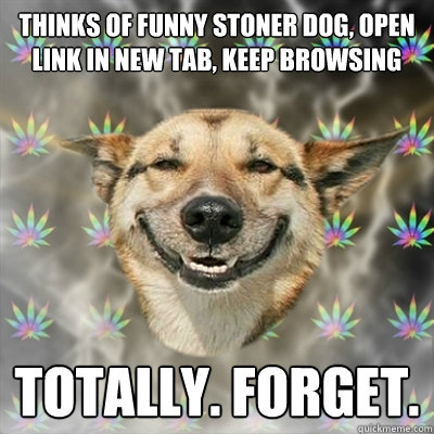 Thinks of funny stoner dog, open link in new tab, keep browsing Totally. Forget. - Thinks of funny stoner dog, open link in new tab, keep browsing Totally. Forget.  Stoner Dog