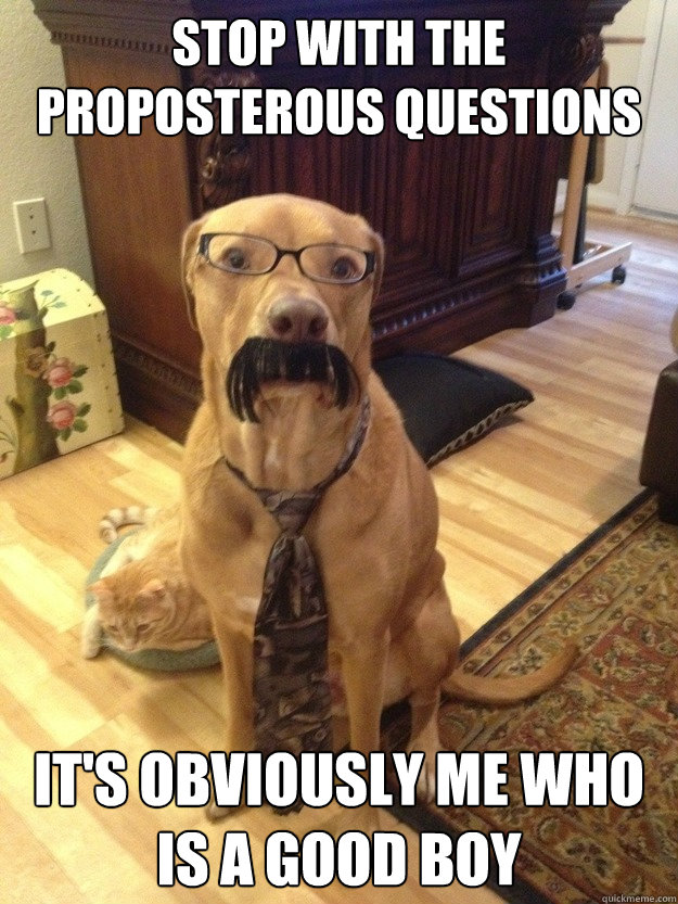 stop with the proposterous questions it's obviously me who is a good boy  Professor Dog