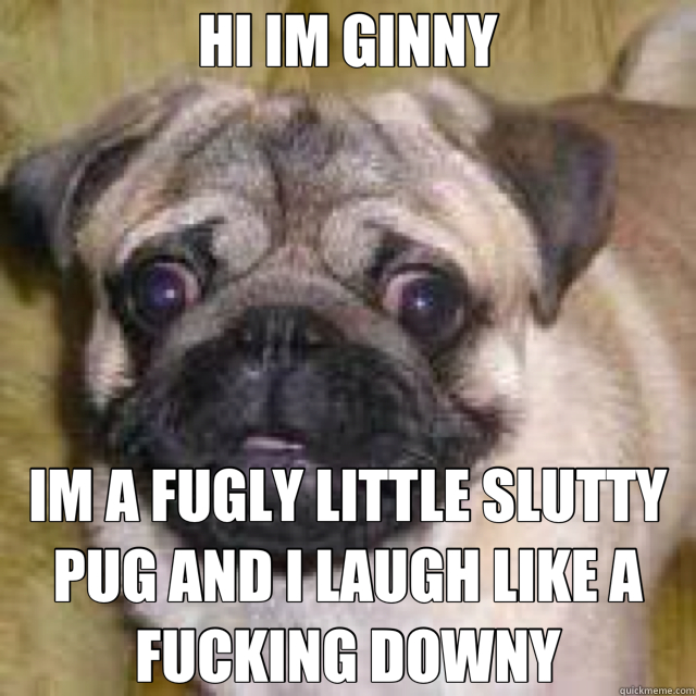 HI IM GINNY IM A FUGLY LITTLE SLUTTY PUG AND I LAUGH LIKE A FUCKING DOWNY  ginny3