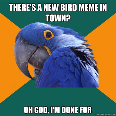 There's a new bird meme in town? Oh god, i'm done for - There's a new bird meme in town? Oh god, i'm done for  Paranoid Parrot