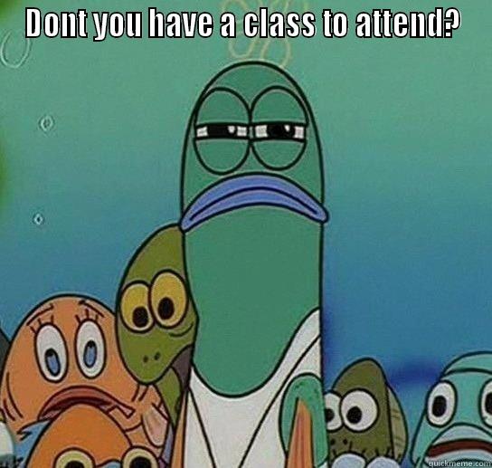 FUNNY ENOUGH?! - DONT YOU HAVE A CLASS TO ATTEND?  Serious fish SpongeBob