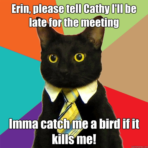 Erin, please tell Cathy I'll be late for the meeting Imma catch me a bird if it kills me!   Business Cat