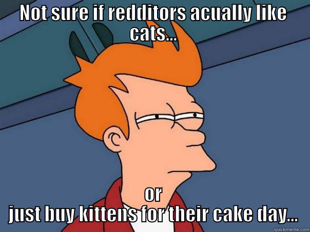 NOT SURE IF REDDITORS ACUALLY LIKE CATS... OR JUST BUY KITTENS FOR THEIR CAKE DAY... Futurama Fry