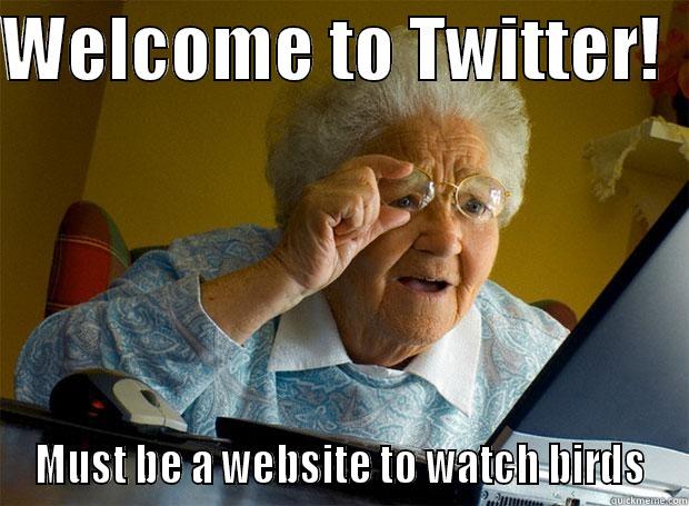 WELCOME TO TWITTER!   MUST BE A WEBSITE TO WATCH BIRDS Grandma finds the Internet