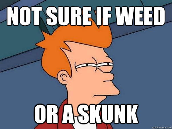 not sure if weed or a skunk - not sure if weed or a skunk  Futurama Fry