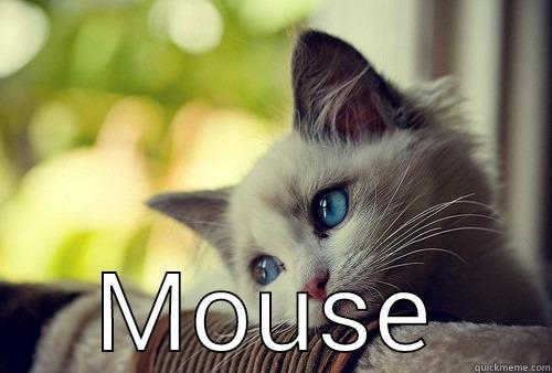  MOUSE First World Problems Cat
