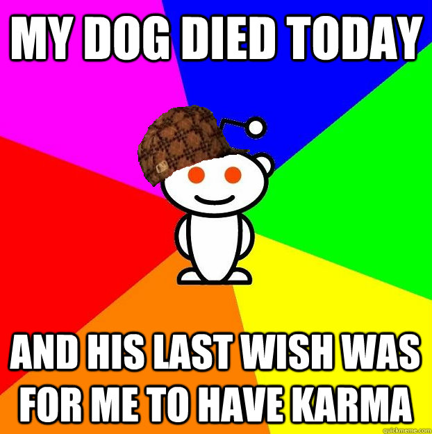 MY DOG DIED TODAY AND HIS LAST WISH WAS FOR ME TO HAVE KARMA  Scumbag Redditor