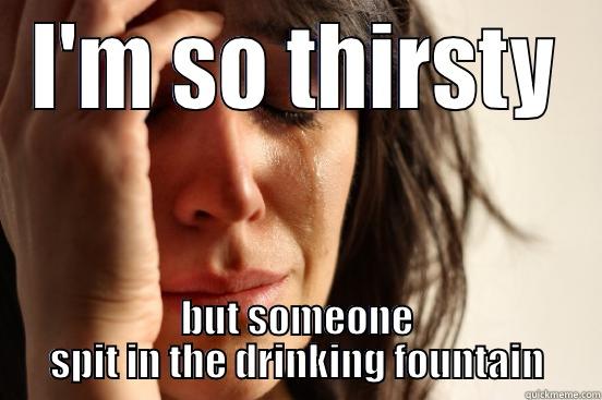 I'M SO THIRSTY BUT SOMEONE SPIT IN THE DRINKING FOUNTAIN First World Problems