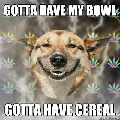 Gotta have my bowl Gotta have cereal  