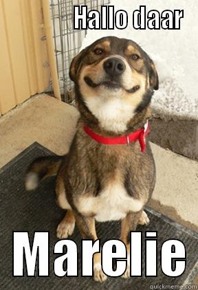               HALLO DAAR   MARELIE Good Dog Greg