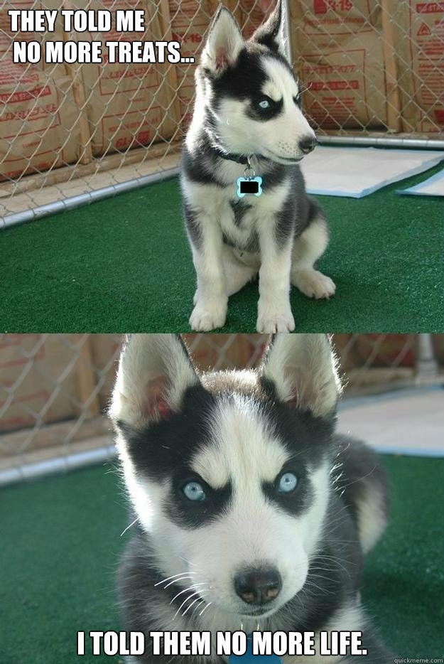 They told me
 no more treats... I told them no more life.  Insanity puppy