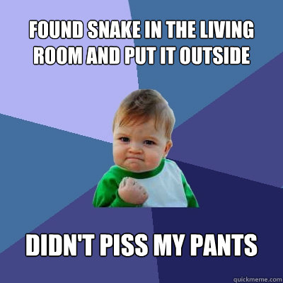 found snake in the living room and put it outside didn't piss my pants  Success Kid