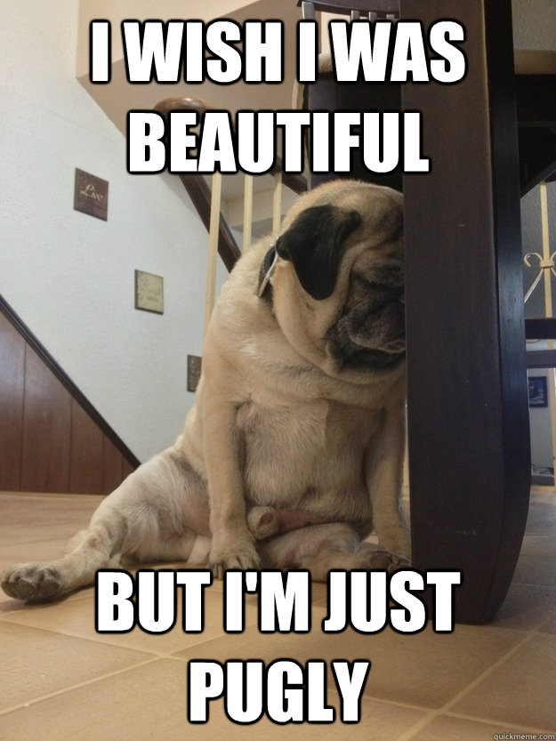 I wish i was beautiful but i'm just pugly - I wish i was beautiful but i'm just pugly  Depressed Pug