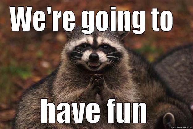 Have a lot of fun - WE'RE GOING TO  HAVE FUN Evil Plotting Raccoon