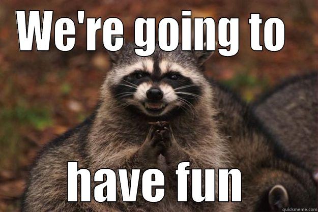 WE'RE GOING TO  HAVE FUN Evil Plotting Raccoon