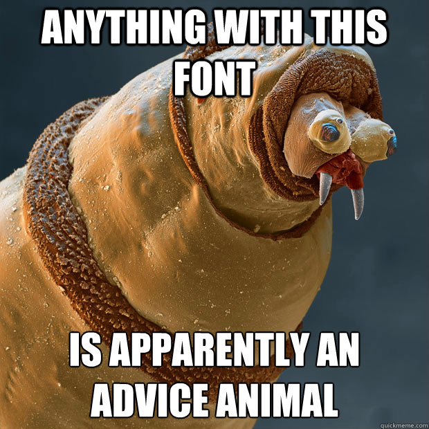 Anything with this font Is apparently an advice animal - Anything with this font Is apparently an advice animal  Derp larva