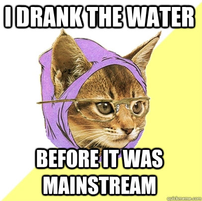 I drank the water before it was mainstream  Hipster Kitty