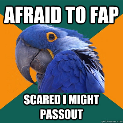 Afraid to fap Scared i might passout  Paranoid Parrot