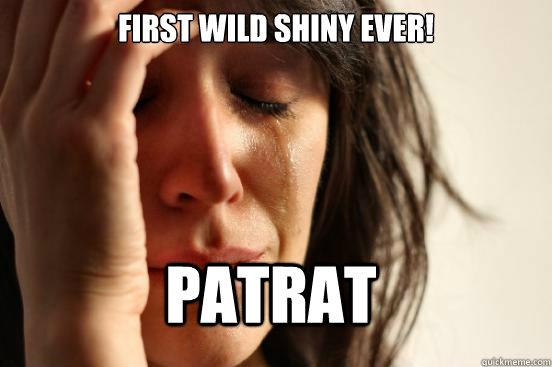 First wild shiny ever! Patrat  FirstWorldProblems