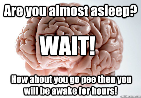 Are you almost asleep?  How about you go pee then you will be awake for hours! WAIT!  Scumbag Brain