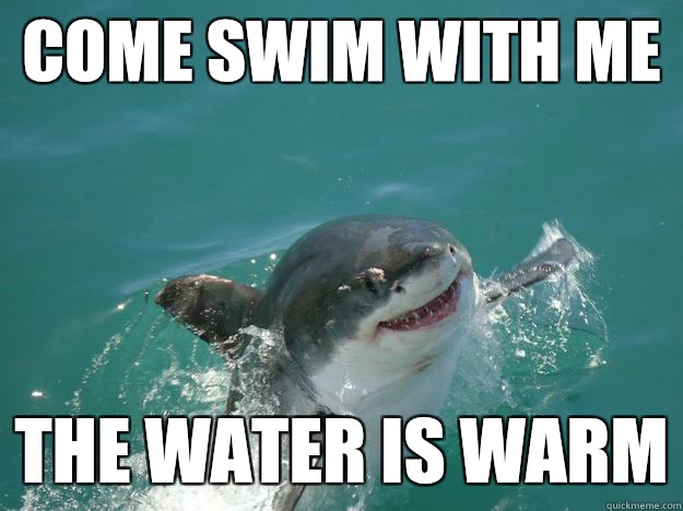 COME SWIM WITH ME THE WATER IS WARM - COME SWIM WITH ME THE WATER IS WARM  Smiling Shark