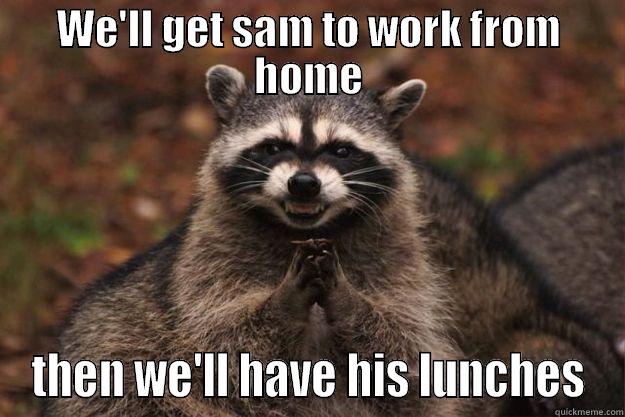 Evil plotting racoon - WE'LL GET SAM TO WORK FROM HOME THEN WE'LL HAVE HIS LUNCHES Evil Plotting Raccoon