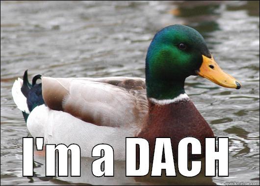  I'M A DACH Actual Advice Mallard