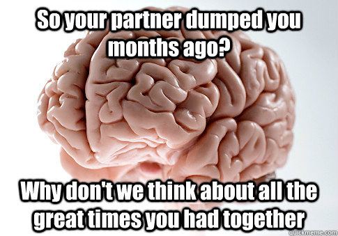 So your partner dumped you months ago? Why don't we think about all the great times you had together  Scumbag Brain