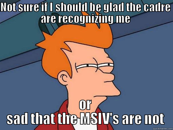 NOT SURE IF I SHOULD BE GLAD THE CADRE ARE RECOGNIZING ME OR SAD THAT THE MSIV'S ARE NOT Futurama Fry