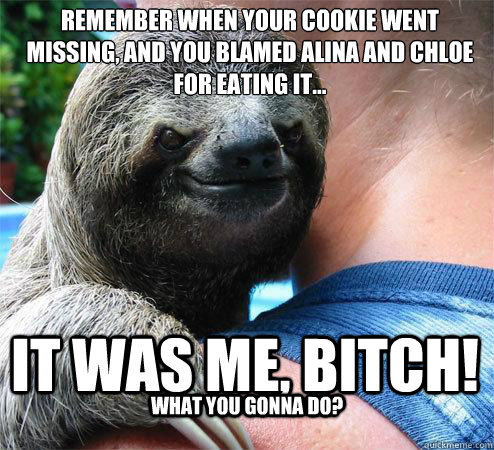 rEMEMBER WHEN YOUR COOKIE WENT MISSING, AND YOU BLAMED ALINA AND CHLOE FOR EATING IT... IT WAS ME, BITCH! WHAT YOU GONNA DO?  Suspiciously Evil Sloth