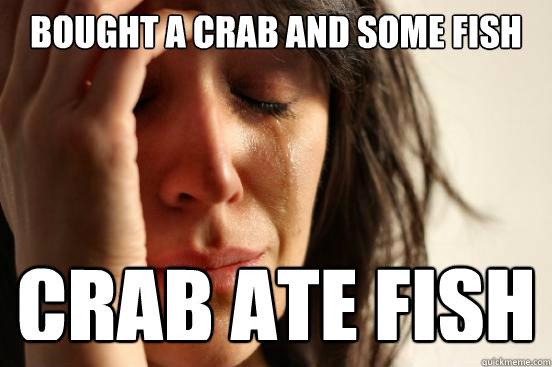 bought a crab and some fish crab ate fish  First World Problems