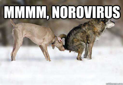 Mmmm, Norovirus  - Mmmm, Norovirus   mmmm poop