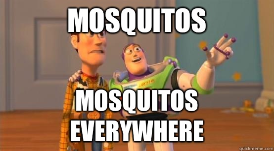 Mosquitos Mosquitos everywhere - Mosquitos Mosquitos everywhere  Buzz Glitter