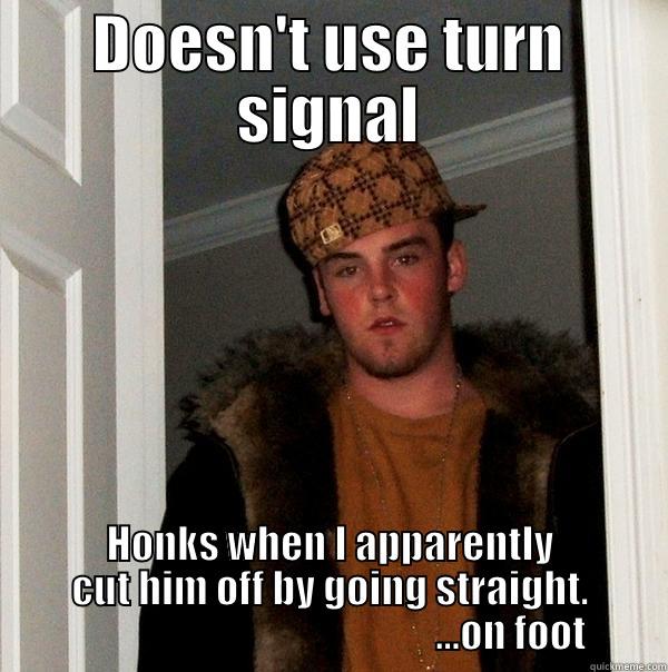 DOESN'T USE TURN SIGNAL HONKS WHEN I APPARENTLY CUT HIM OFF BY GOING STRAIGHT.                                               ...ON FOOT Scumbag Steve