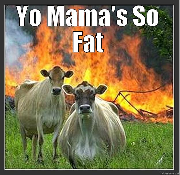 yo mama joke - YO MAMA'S SO FAT  Evil cows