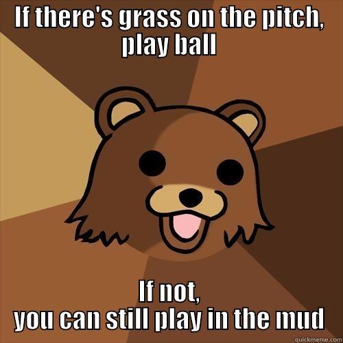 IF THERE'S GRASS ON THE PITCH, PLAY BALL IF NOT, YOU CAN STILL PLAY IN THE MUD Pedobear
