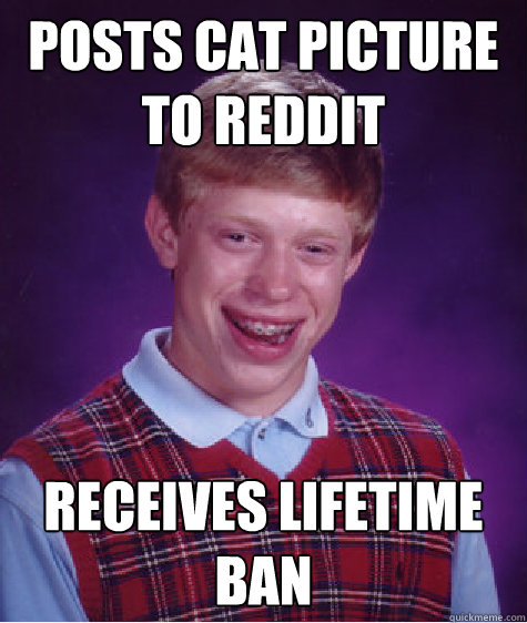 Posts cat picture to Reddit Receives Lifetime ban  Bad Luck Brian