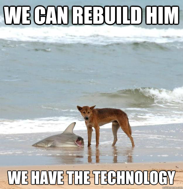 We can rebuild him we have the technology  We have the technology
