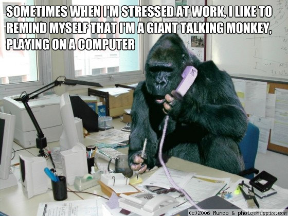 Sometimes when I'm stressed at work, I like to remind myself that I'm a giant talking monkey, playing on a computer  