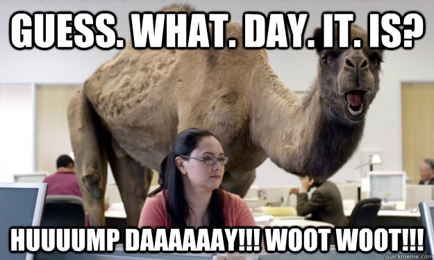 Guess. What. Day. It. Is? HUUUUMP Daaaaaay!!! WOOT WOOT!!!  Hump Day Camel