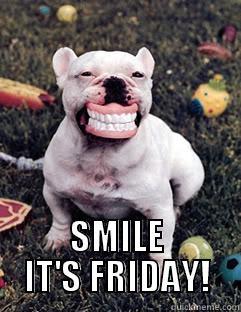 SMILE IT'S FRIDAY -  SMILE IT'S FRIDAY! Misc