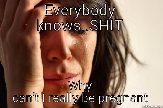EVERYBODY KNOWS..SHIT WHY CAN'T I REALLY BE PREGNANT First World Problems