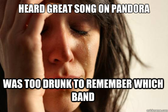 Heard great song on pandora Was too drunk to remember which band  First World Problems