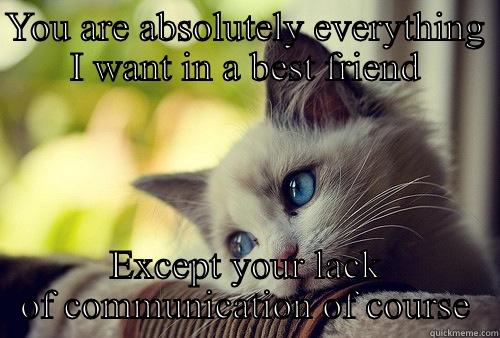 YOU ARE ABSOLUTELY EVERYTHING I WANT IN A BEST FRIEND EXCEPT YOUR LACK OF COMMUNICATION OF COURSE First World Problems Cat