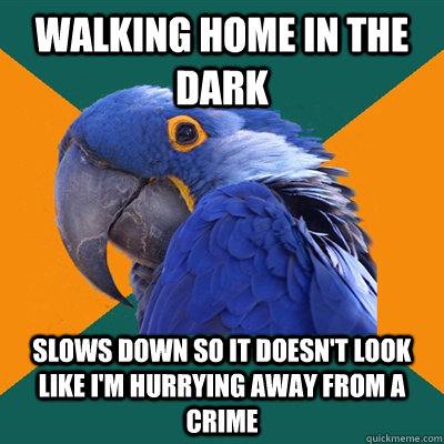 Walking home in the dark Slows down so it doesn't look like I'm hurrying away from a crime  Paranoid Parrot