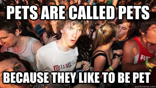 pets are called pets because they like to be pet  Sudden Clarity Clarence